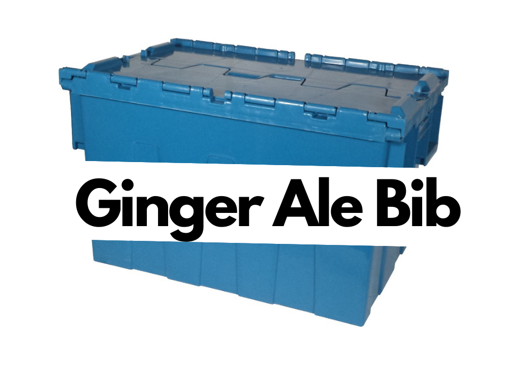 Ginger Ale Bib 1/5 Gallon