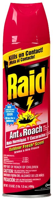 Raid Ant & Roach Outdoor 12/17.5oz