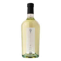 [0100-AW-24102] Astoria Pinot Grigio DOC Alisia 12/37.5Cl