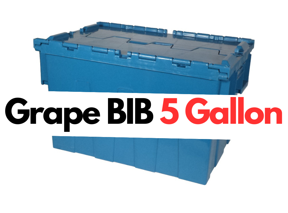 Grape BIB 5 Gallon