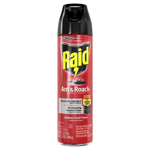 Raid Ant & Roach Outdoor Fresh 12/12Oz