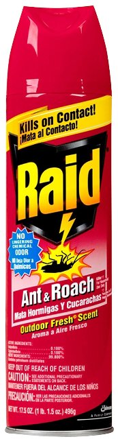 Raid Ant & Roach Outdoor 12/17.5Oz