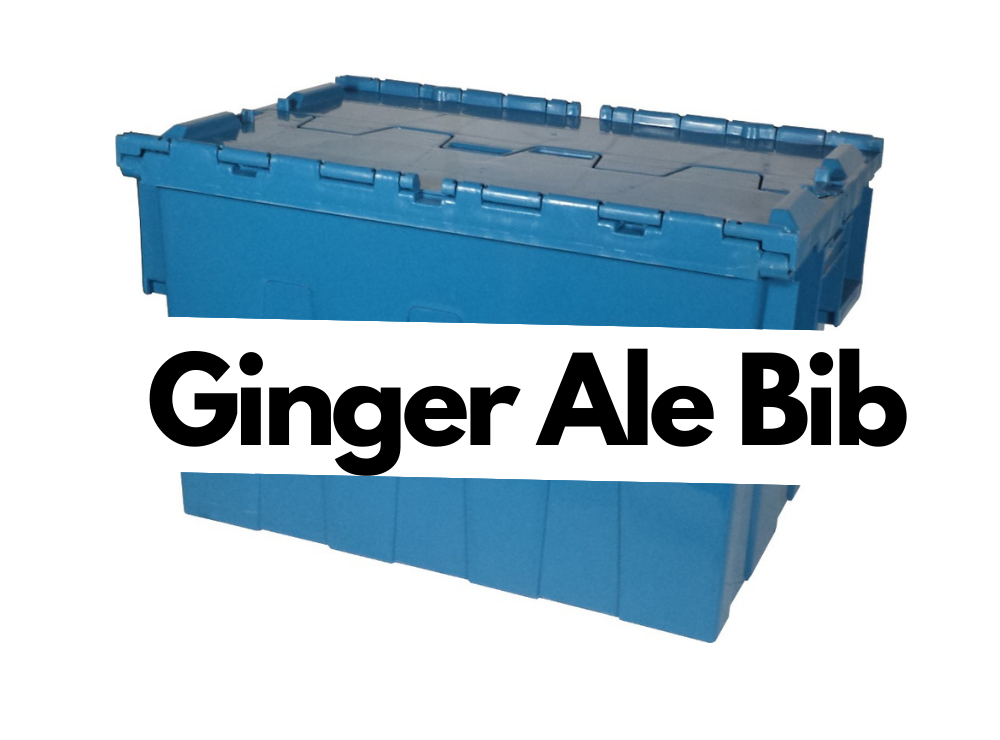 Ginger Ale Bib 1/3 Gallon