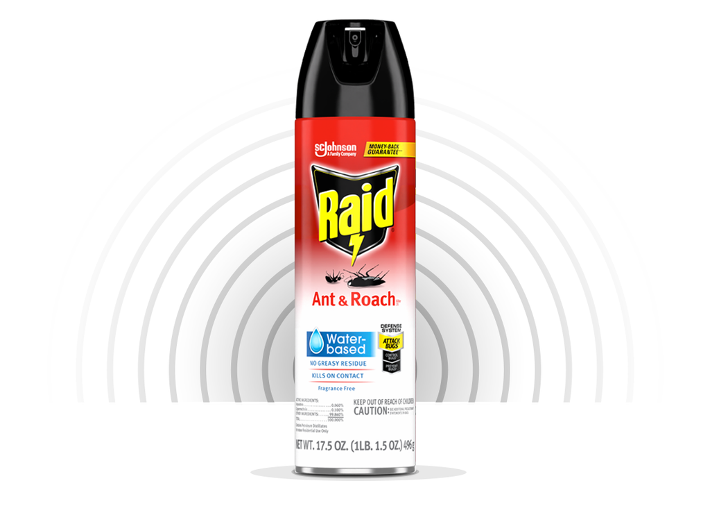 Raid Ant & Roach Killer 26 Water Based D13 6/17.5Oz